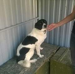 1453 X 1451 473.8 Kb      .  