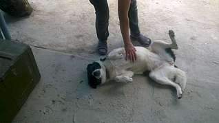 1920 X 1078 188.8 Kb      .  