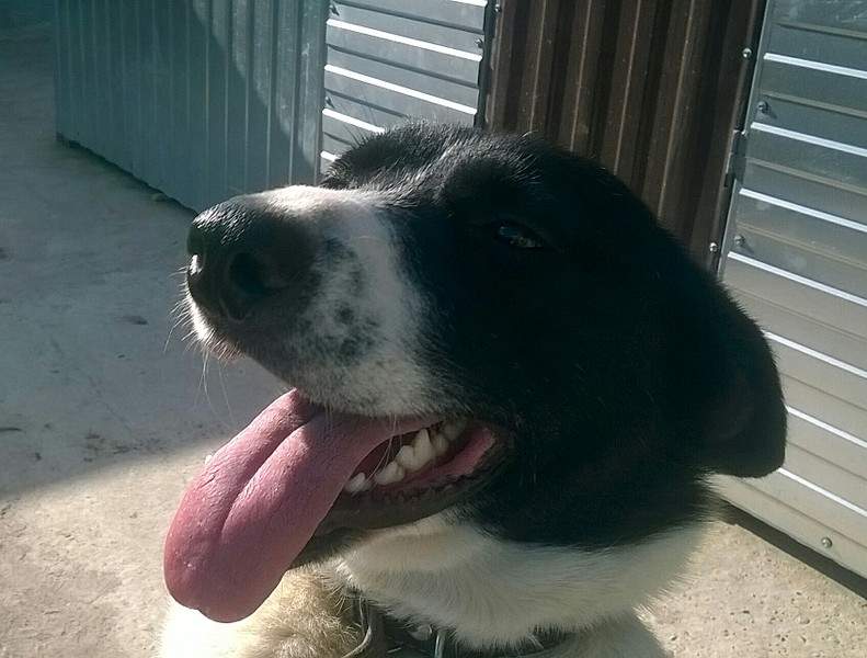 1694 X 1284 417.6 Kb    ,  