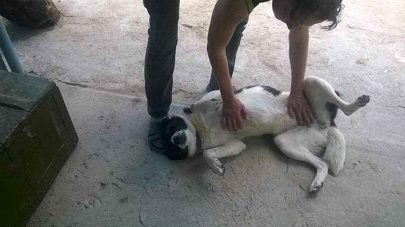 1920 X 1078 193.8 Kb 1052 X 900 252.9 Kb 1115 X 1440 343.1 Kb 1694 X 1284 417.6 Kb    ,  