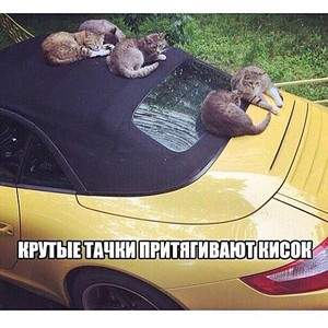 480 X 480  61.6 Kb Улыбнемся?