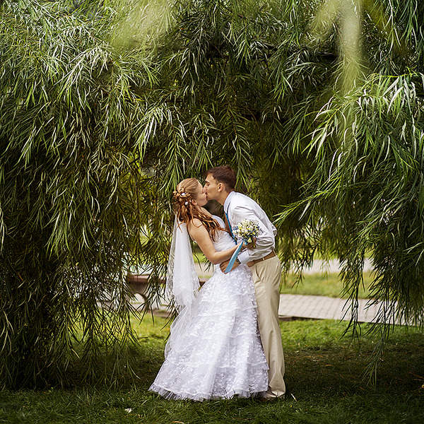 800 X 800 880.7 Kb Yurkophoto -   