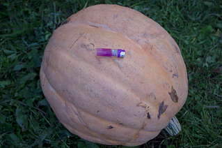 1920 X 1275 188.0 Kb ������ ��� ������� �� ���, ���� - �����, �������. ����� 2 ����.