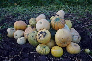 1920 X 1275 322.2 Kb 1920 X 1275 314.4 Kb 1920 X 1275 188.0 Kb ������ ��� ������� �� ���, ���� - �����, �������. ����� 2 ����.