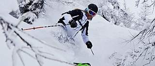 700 X 300 138.6 Kb 700 X 300 114.1 Kb   