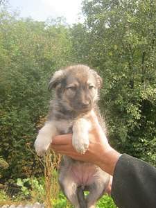 1536 X 2048 577.9 Kb 1536 X 2048 540.2 Kb    . , 