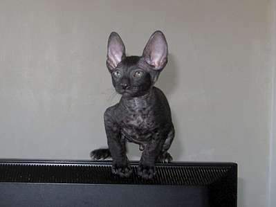 1920 X 1439 134.1 Kb 1920 X 1438 172.3 Kb   .