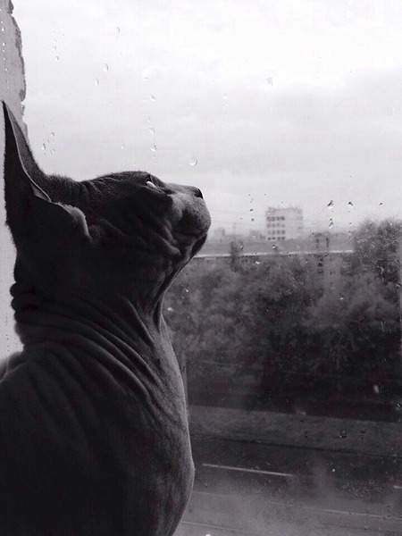 720 X 960 103.2 Kb  !