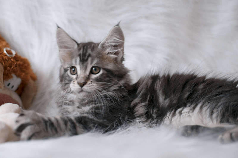 1920 X 1275 140.6 Kb 1920 X 1275 175.6 Kb  