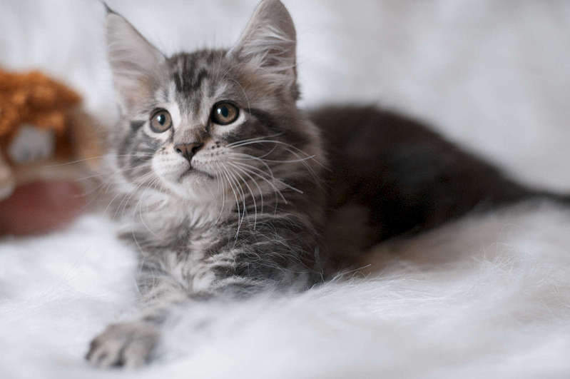 1920 X 1275 121.4 Kb 1920 X 1275 140.6 Kb 1920 X 1275 175.6 Kb  