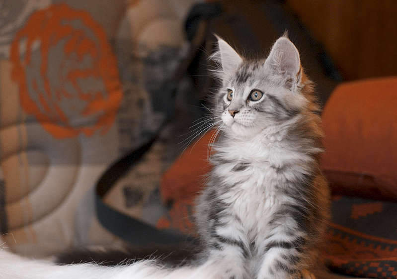 1920 X 1348 181.8 Kb 1920 X 1275 121.4 Kb 1920 X 1275 140.6 Kb 1920 X 1275 175.6 Kb  