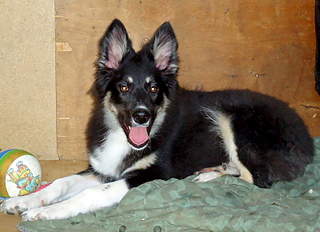 800 X 580 223.4 Kb 800 X 530 73.8 Kb 530 X 800 127.4 Kb   