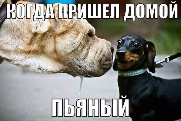 604 x 403 Улыбнемся?