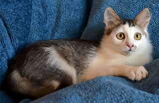 1920 X 1241 256.4 Kb ...      !