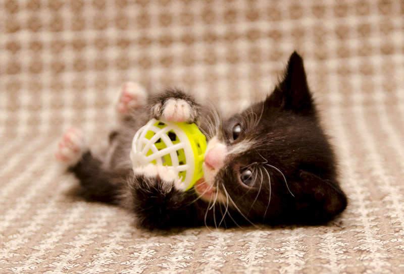 1920 X 1304 207.8 Kb          .