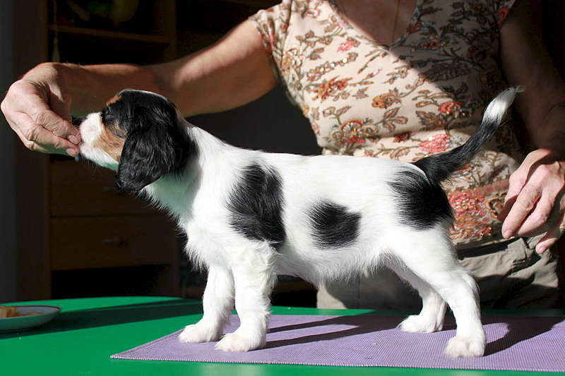 1920 X 1280 202.9 Kb 2016 X 1342 217.5 Kb 2048 X 1365 226.0 Kb  ---  .