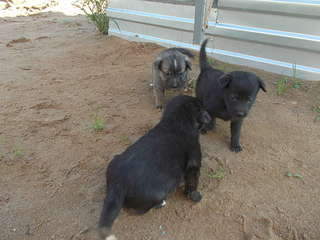 1920 X 1440 315.8 Kb    . , 