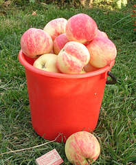 1580 X 1910 439.9 Kb ������ ������