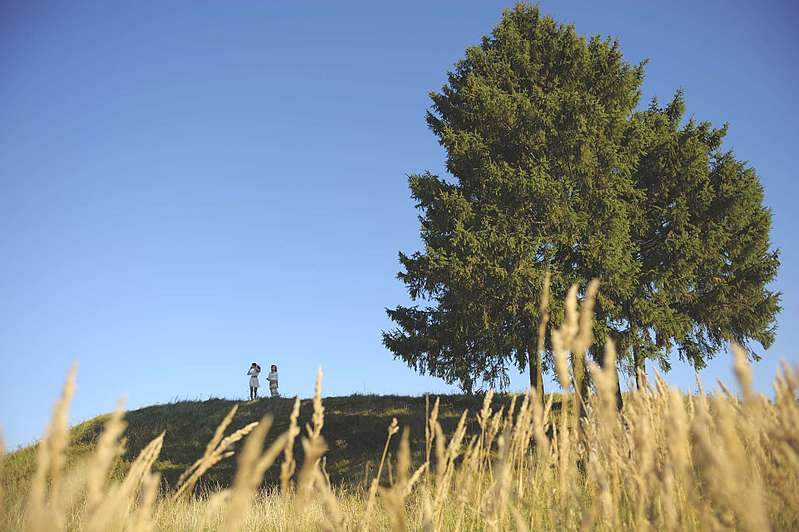 1920 X 1277 291.1 Kb !   +LS=10 .. -   