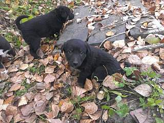 1280 X 960 428.3 Kb 1280 X 960 391.8 Kb  -   