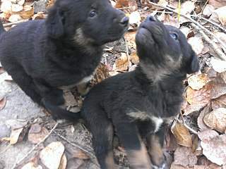 1280 X 960 235.5 Kb 1280 X 768 206.9 Kb 1280 X 768 181.4 Kb 1280 X 960 362.0 Kb  -   