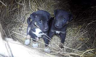 1280 X 768 254.0 Kb 1280 X 960 235.5 Kb 1280 X 768 206.9 Kb 1280 X 768 181.4 Kb 1280 X 960 362.0 Kb  -   