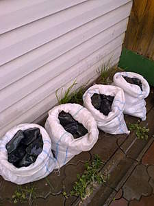 1944 X 2592 1022.4 Kb 1920 X 2728 314.2 Kb    ( )