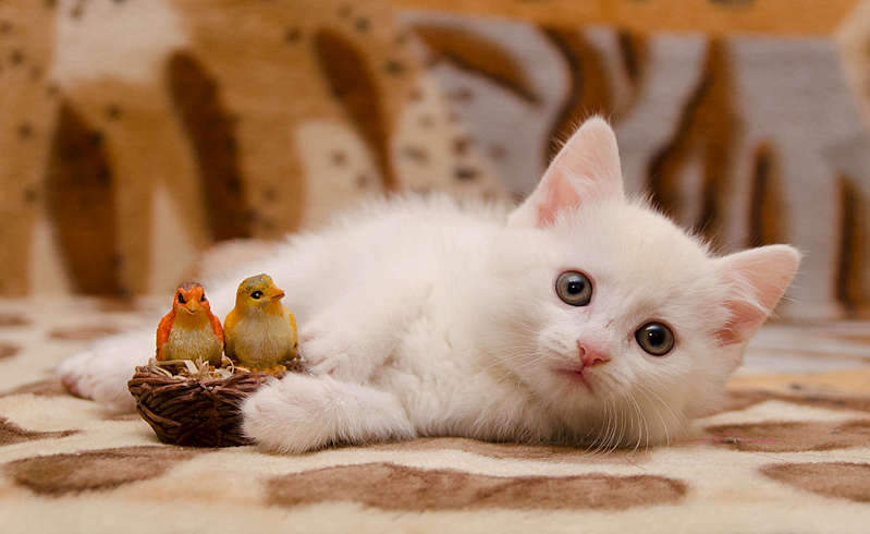 1920 X 1178 165.7 Kb 1920 X 1415 173.4 Kb .     .