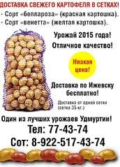 521 X 723 225.0 Kb ���������