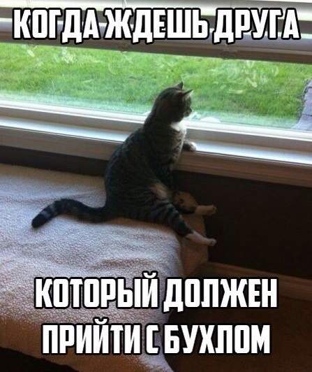 447 x 532 Улыбнемся?