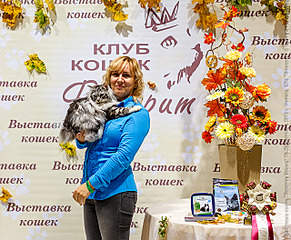 640 X 527 432.2 Kb курильский бобтейл