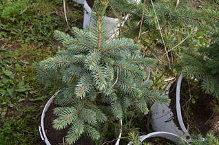 1920 X 1271 472.3 Kb ��� �������, ���, ���� � ���