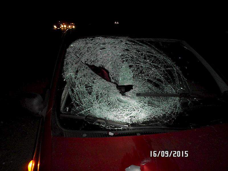 1600 X 1200 168.0 Kb 1600 X 1200  97.3 Kb 16.09.2015          