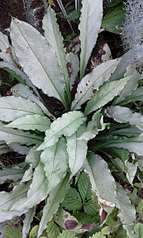 691 X 1152 135.7 Kb 1920 X 1152 353.8 Kb ������ ������� ������� � �� ������� �������!