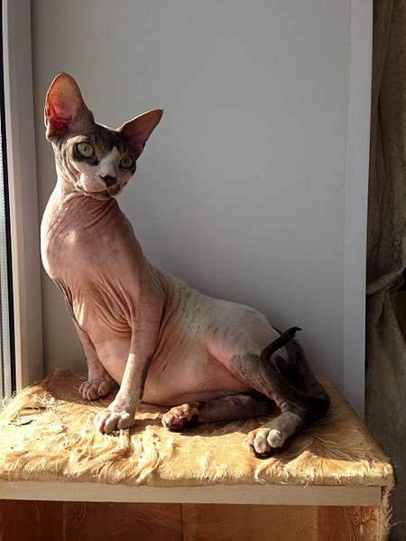 1080 X 1440 113.9 Kb  !