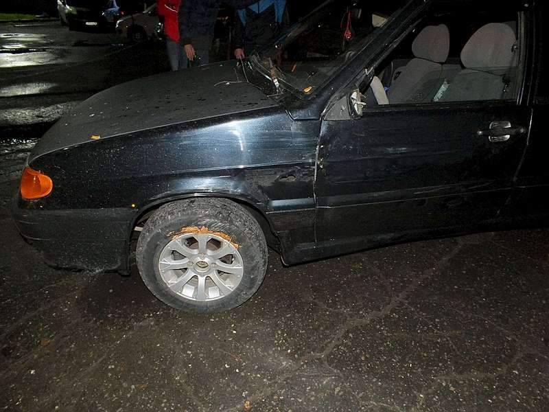 1920 X 1440 279.6 Kb 19.09.2015   15         