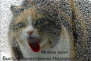 530 X 359  59.5 Kb 546 X 534  44.1 Kb Улыбнемся?