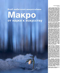 1250 X 1500 322.4 Kb Макровылазки и околомакрушные разговоры