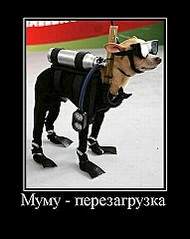 381 X 480  27.9 Kb Улыбнемся?