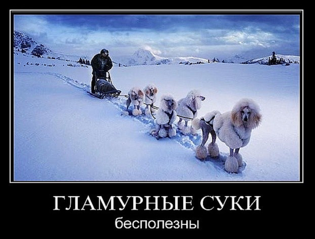 624 X 474 407.5 Kb 381 X 480  27.9 Kb Улыбнемся?