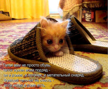 701 X 577 111.8 Kb Улыбнемся?