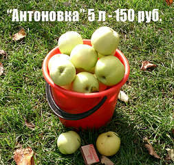 1920 X 1821 785.3 Kb ������ ������