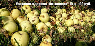 1920 X 938 375.2 Kb 1920 X 1821 785.3 Kb ������ ������