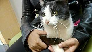 1280 X 720 162.6 Kb Василий и Нафаня в надежде на помощь