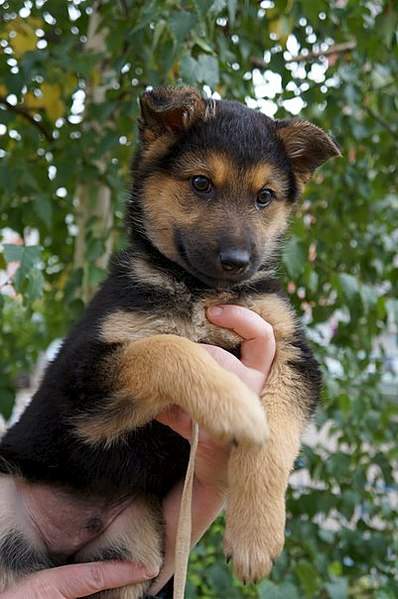 401 X 604 57.9 Kb 458 X 604 65.0 Kb 604 x 496 401 X 604 77.6 Kb -   !