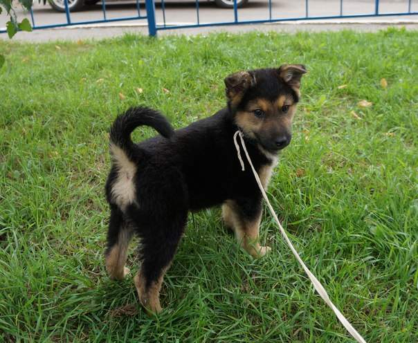 604 x 496 458 X 604 65.0 Kb 401 X 604 57.9 Kb 401 X 604 77.6 Kb   .  .   