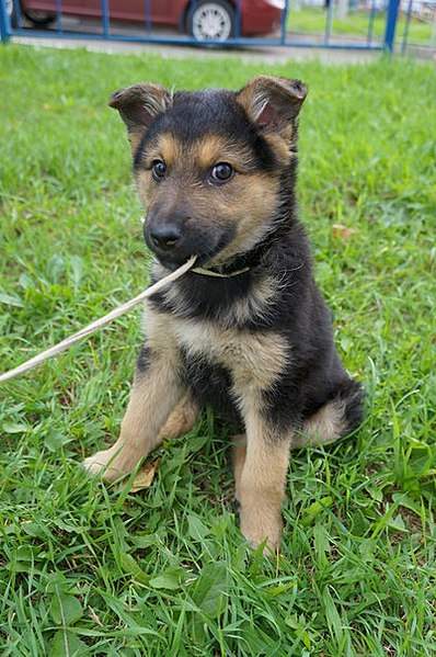 401 X 604 77.6 Kb   .  .   