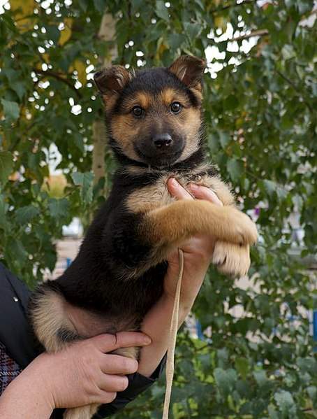 458 X 604 65.0 Kb 401 X 604 57.9 Kb 401 X 604 77.6 Kb   .  .   