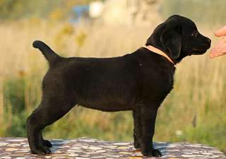 1920 X 1352 136.7 Kb   - 