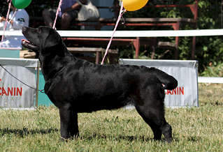 1920 X 1312 255.4 Kb 1500 X 1000 142.5 Kb   - 